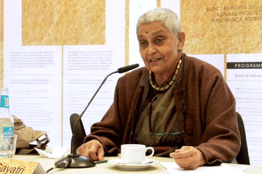 Indian scholar Gayatri Chakravorty Spivak has been awarded Holberg Prize 2025