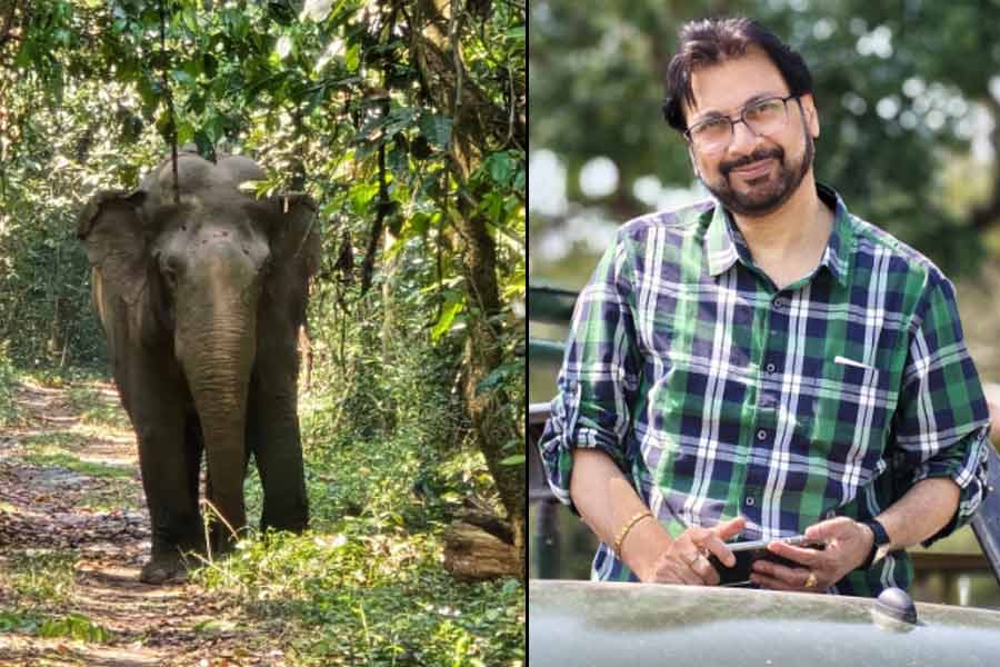 Singer Manomay Bhattacharya share horrific experience of jungle safari in Buxa tiger reserve