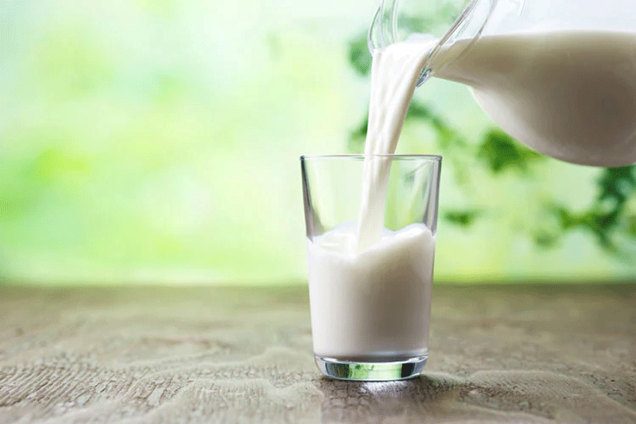 Woman in Delhi NCR dies of rabies after drinking Cow milk