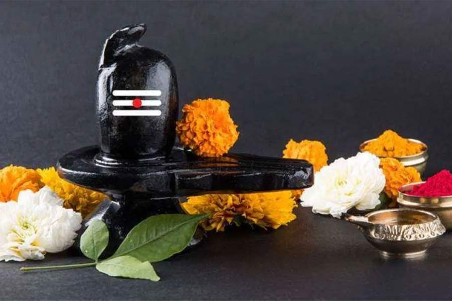 Significant of Nil Sasthi