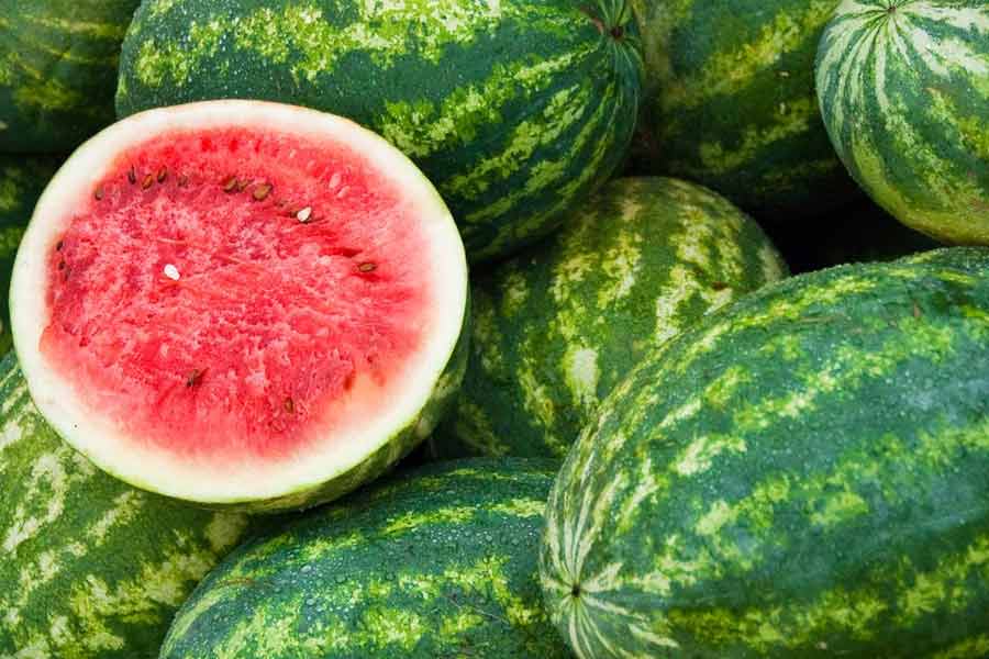 Watermelon
