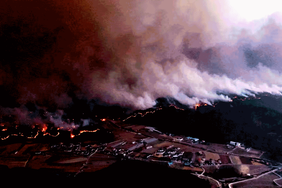 South Korea's Worst Wildfires Kill 18, Burn Historic Temples