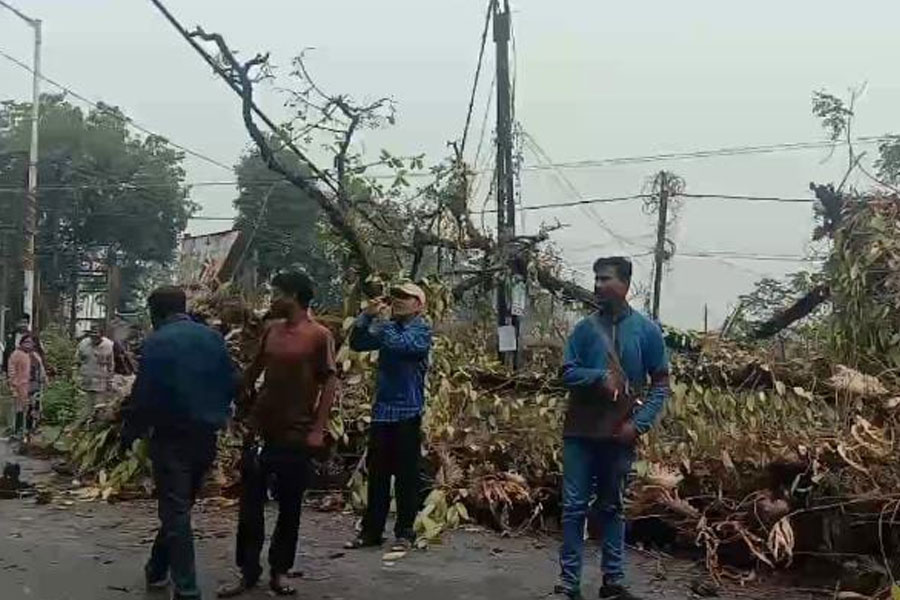 17 number national highway blocked by fallen trees in malbazar