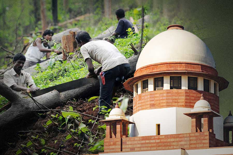Supreme Court Says, Cutting huge Number Of Trees Worse Than Killing Humans