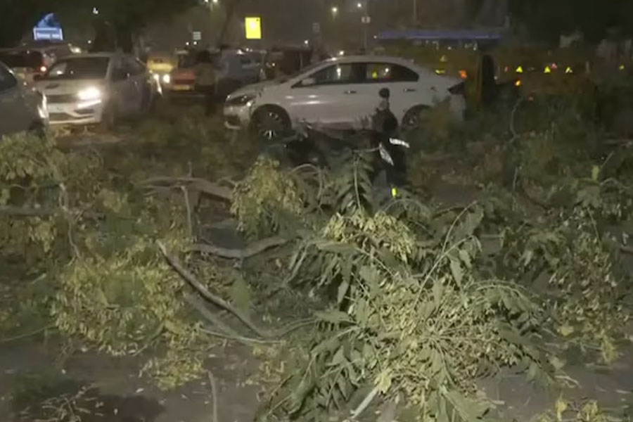 Strong dust storms in Delhi, city on red alert till 9 pm