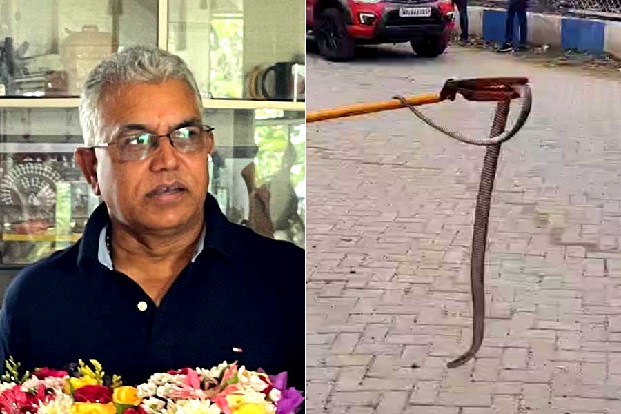 A Snake appears in Dilip Ghosh's house on friday