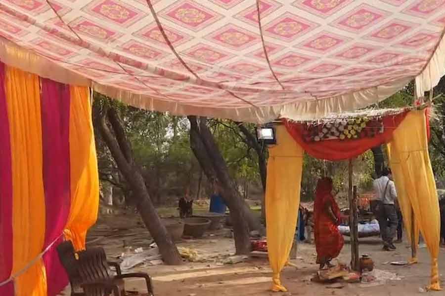 Upset Over Not Being Served Paneer, Man Drives Bus Over Wedding Guests