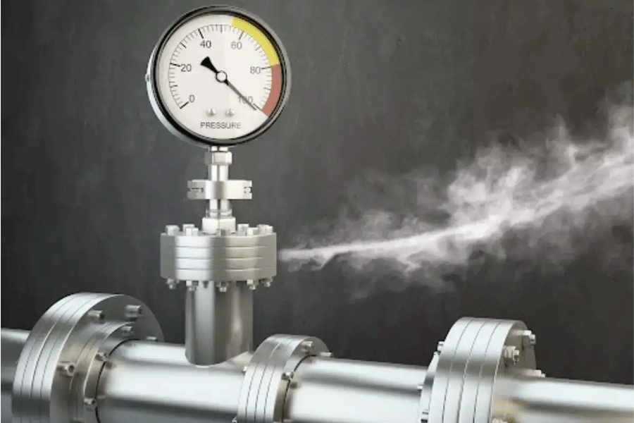 Rajasthan Nitrogen Gas Leak died Factory Owner and 40 Hospitalised