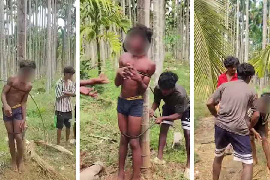 Tribal boy allegedly tied to tree in Karnataka, tortured with ants over alleged theft