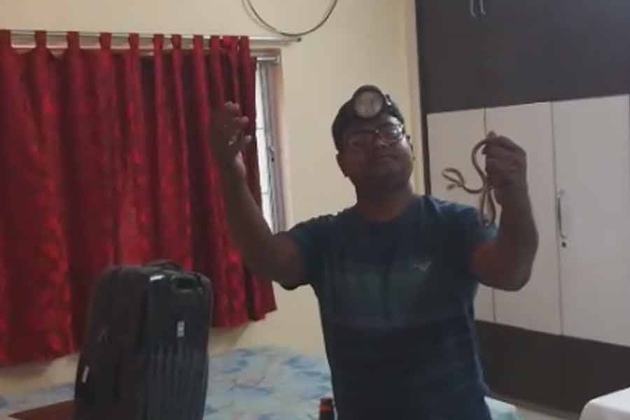 Snake found in Malda's Additional District Magistrate's room