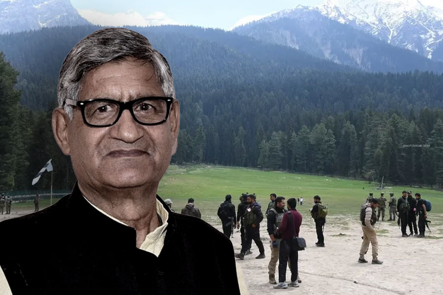 জঙ্গিদের বিরুদ্ধে লড়া উচিত ছিল পহেলগাঁওয়ে ‘সিঁদুর’ হারানো মহিলাদের! বলছেন বিজেপি সাংসদ