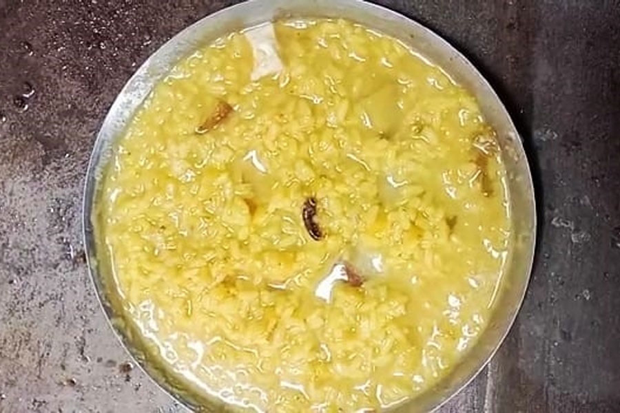 মিড ডে মিলের খিচুড়িতে কেন্নো! অঙ্গনওয়াড়ি কর্মীকে তালাবন্দি করে বিক্ষোভে অভিভাবকরা