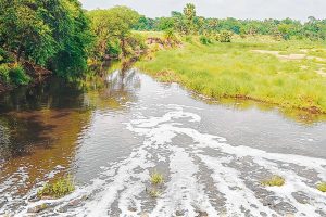 River pollution in Kopai effects many villages of Santiniketan
