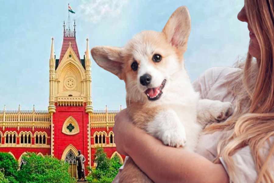 ‘পোষ্য যেন ক্ষতির কারণ না হয়, নিশ্চিত করা মালিকের কর্তব্য’, পর্যবেক্ষণ হাই কোর্টের