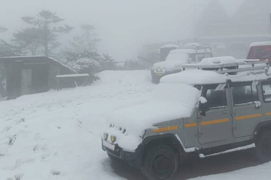 Untimely Snowfall at Sandakphu