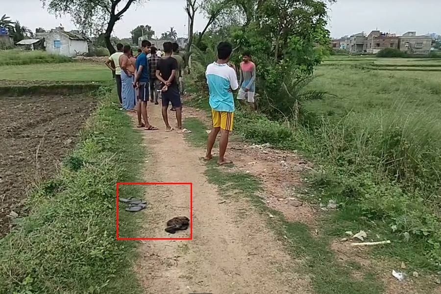 নিম্নাঙ্গ অনাবৃত, থ্যাঁতলানো মাথা-মুখ! সিউড়িতে যুবকের মৃতদেহ উদ্ধারে রহস্য
