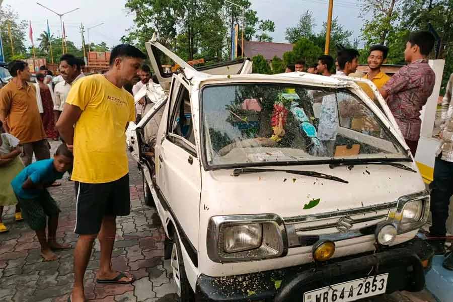Teacher dies after falling on tree in Alipurduar