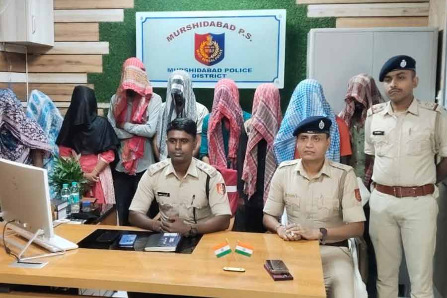 দালালের সাহায্যে বাংলাদেশ সীমান্ত পেরিয়ে ভারতে, মুর্শিদাবাদে গ্রেপ্তার ৮ অনুপ্রবেশকারী