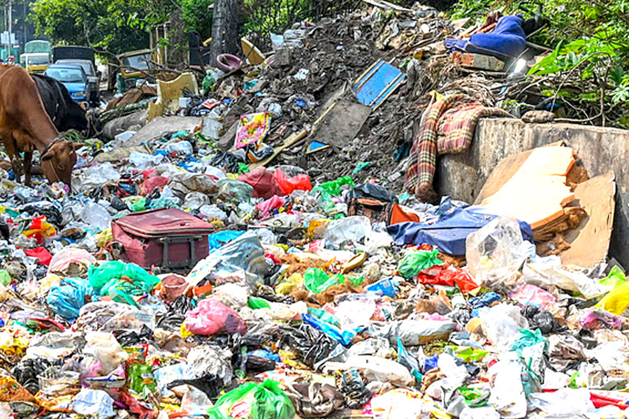 A newborn baby found in Topsia