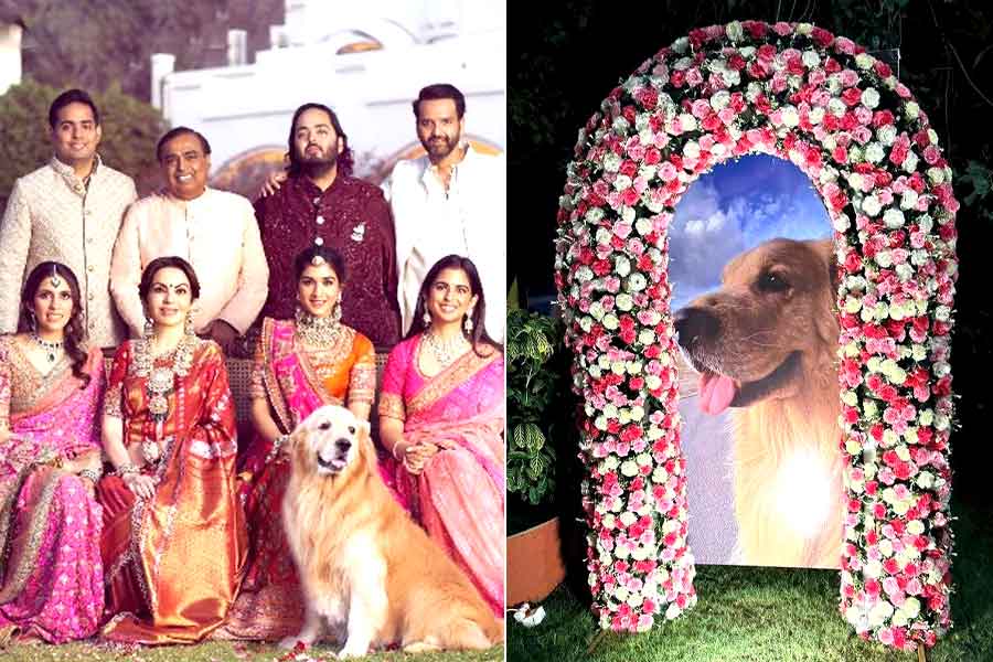 Anant Ambani’s Pet Dog Happy Dies