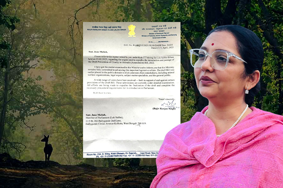 Central ministe Rajiv Ranjan writes letter to TMC MP June Malia regarding her speech on amendment of law against animal cruelty