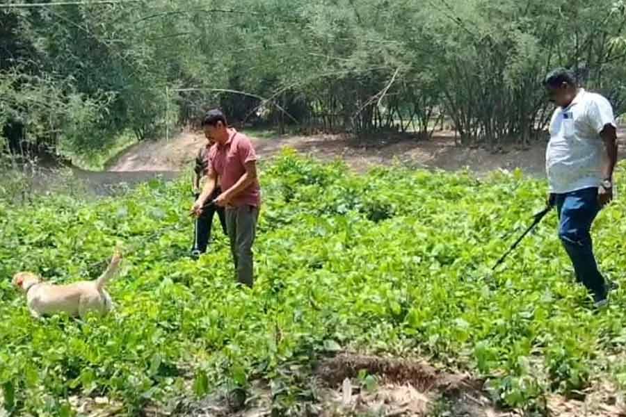 Police conduct search operation with sniffer dogs in Samserganj