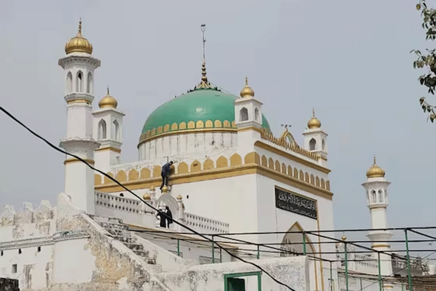 Allahabad High Court upholds Sambhal survey order and rejects mosque panel's plea
