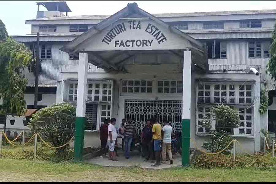 উত্তরবঙ্গে ঝাঁপ ফেলল আরও একটি চা বাগান, বেকার অন্তত ৫০০