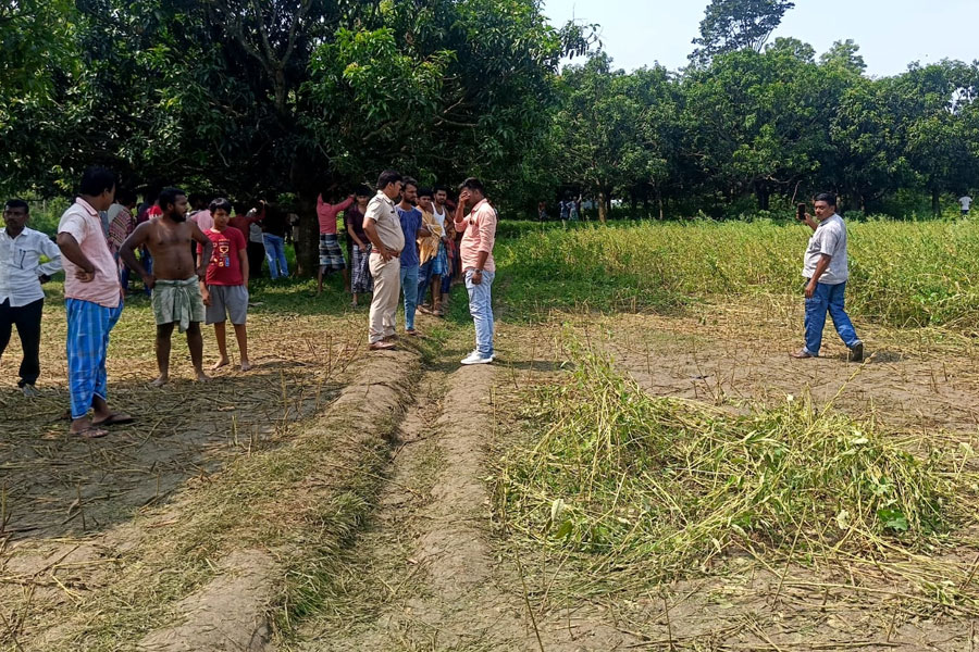 মুর্শিদাবাদে তিলের খেতে তরুণীর অর্ধনগ্ন নলিকাটা দেহ! ধর্ষণের পর প্রমাণ লোপাটে খুন?