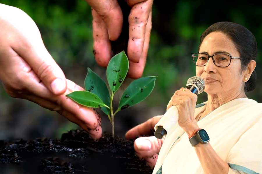 ‘সবুজ বাঁচাও, সবুজ দেখাও’, নিজের লেখা গানে বিশ্ব পরিবেশ দিবসের শুভেচ্ছা বার্তা মুখ্যমন্ত্রীর