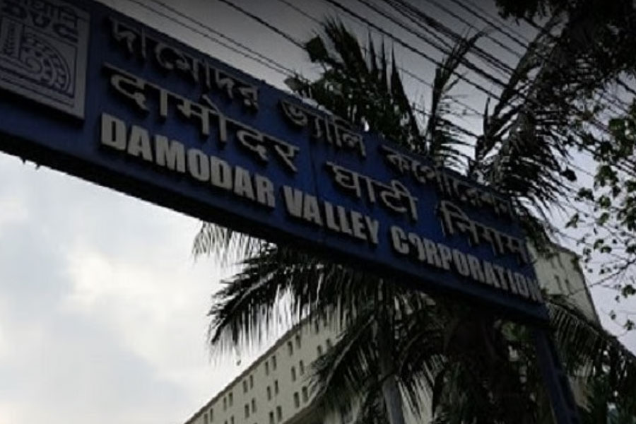 চাকরি খুঁজছেন? একাধিক পদে কর্মী নিচ্ছে DVC