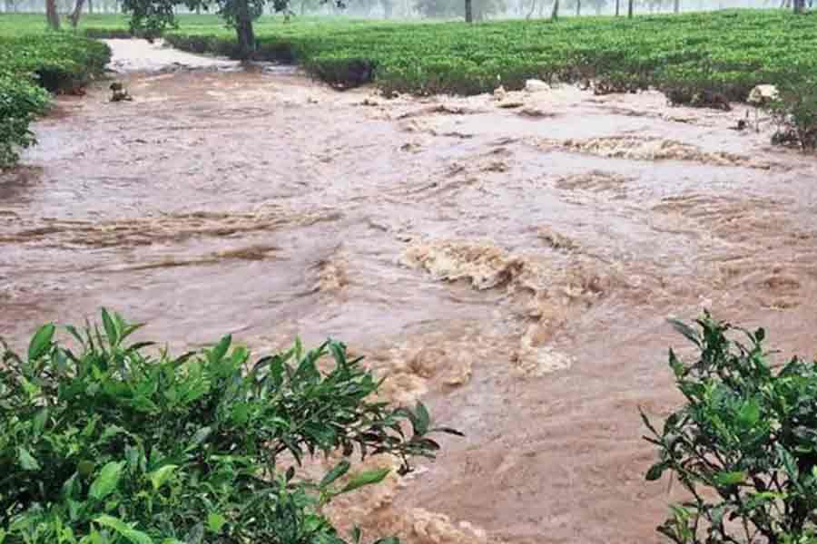 ৭২ ঘন্টা আগেই মিলবে আবহাওয়ার পূর্বাভাস, বন্যার হাত থেকে রক্ষা পাবে ডুয়ার্স?