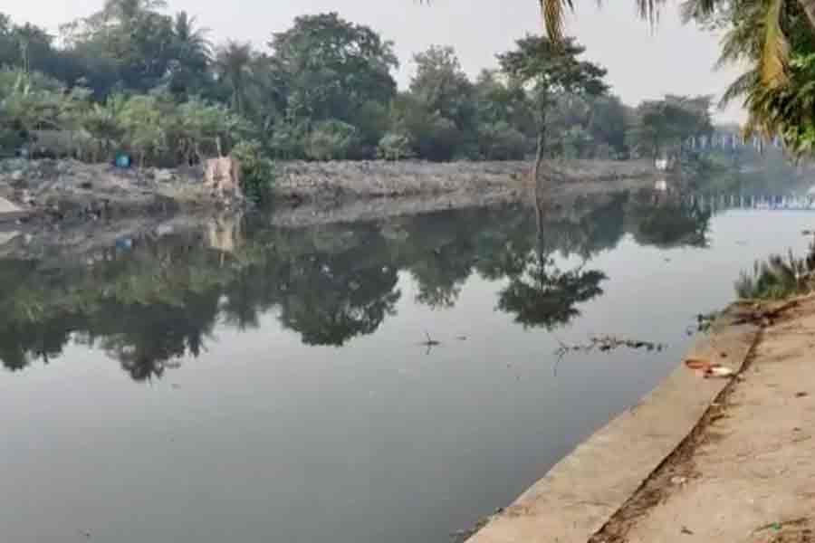 মশার বংশ ধ্বংস করতে কেষ্টপুর খালে নামছে দাঁড় টানা নৌকো! স্মার্ট নিউটাউনে নয়া উদ্যোগ