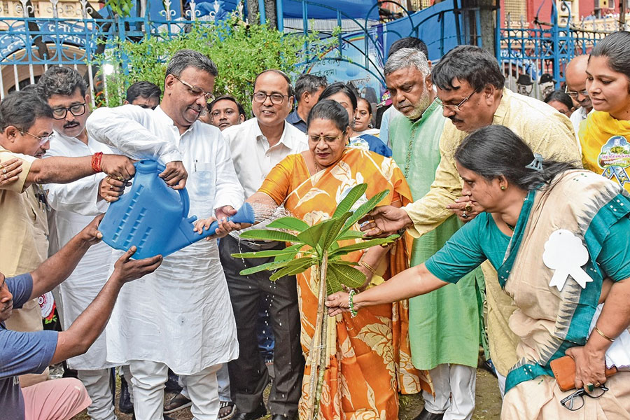 দূষণ নিয়ন্ত্রণে দেশে সেরা কলকাতা পুরসভা, স্বীকৃতি কেন্দ্রীয় সরকারের