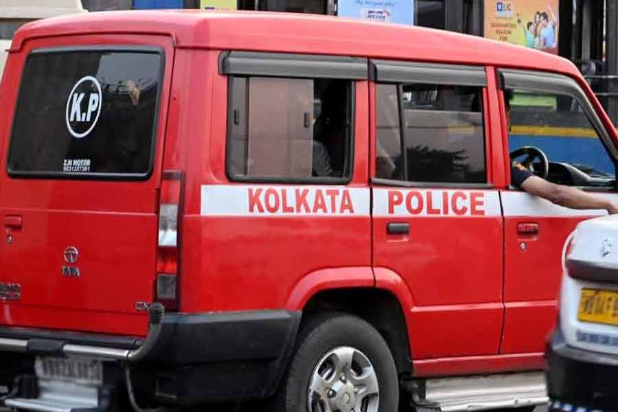 শাক দিয়ে ঢাকা! ফ্রিজে রাখা পালং সরাতেই মিলল দেড় কোটি টাকার সোনা