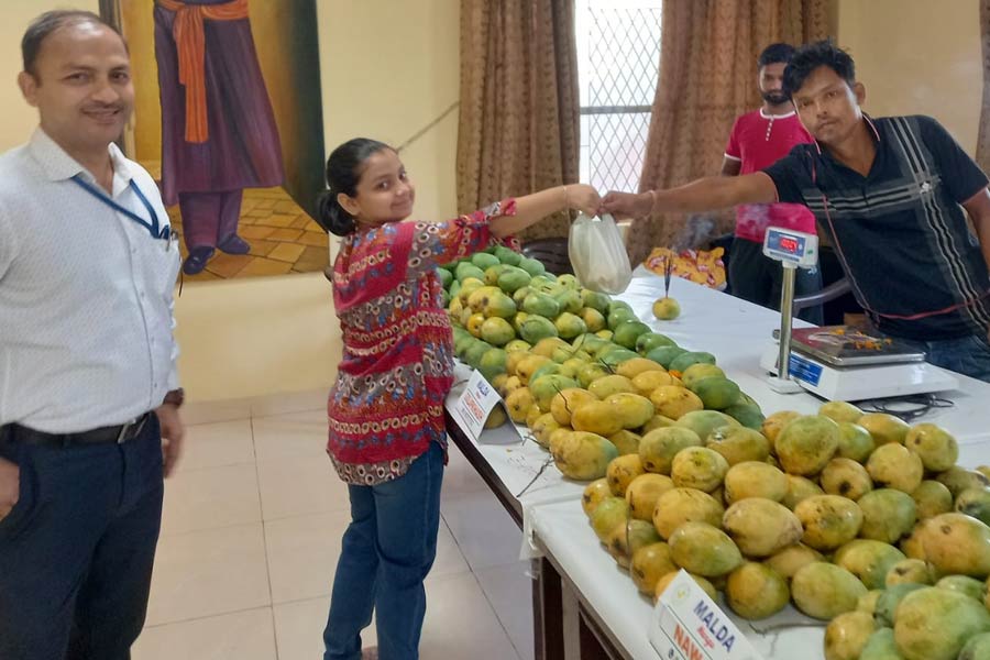 হিমসাগর থেকে অমৃতভোগ, দিল্লির মেলায় মালদহের আমের জয়জয়কার