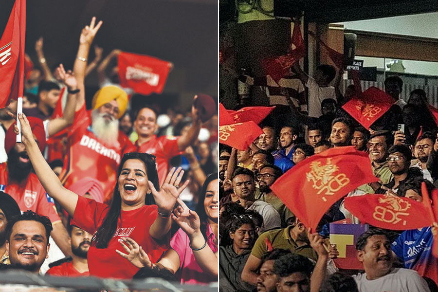 সমর্থকদের জন্যই সব! ১৭ বছর লাঞ্ছনার ভাগিদার পাঞ্জাব-আরসিবি ভক্তরা, সাবালক IPL পাবে নতুন চ্যাম্পিয়ন