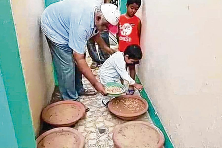 চারা তৈরি করে বিলি, সবুজ বিপ্লব কলকাতার ‘ট্রিম্যান’ রমেশের