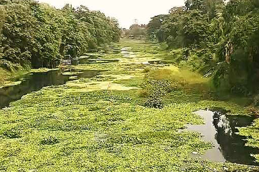 নাব্যতা বাড়াতে তিস্তার পাশাপাশি খনন হবে করলা নদীও, অনুমোদন রাজ্যের