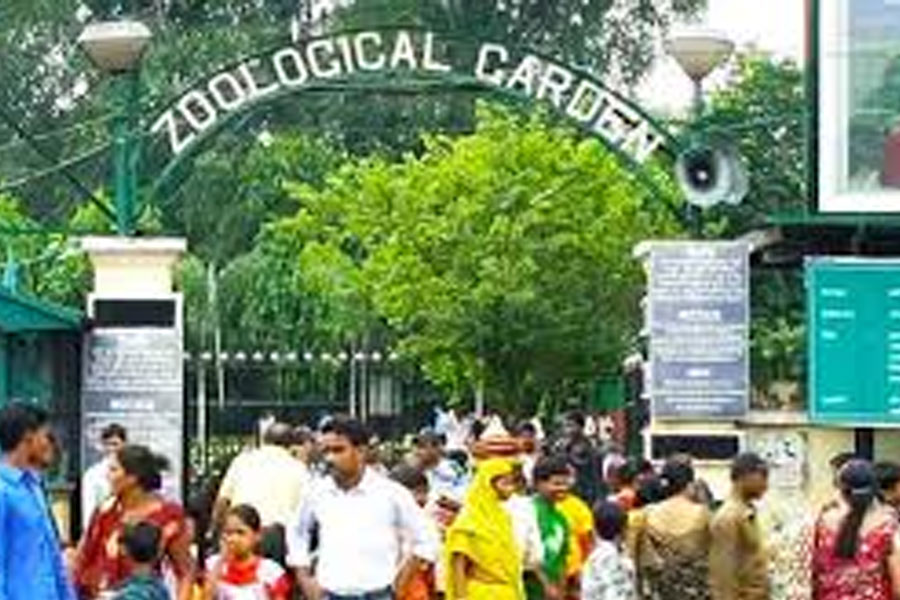 দর্শকদের সুবিধায় নয়া উদ্যোগ, আলিপুর চিড়িয়াখানায় হচ্ছে ‘ক্লোক রুম’