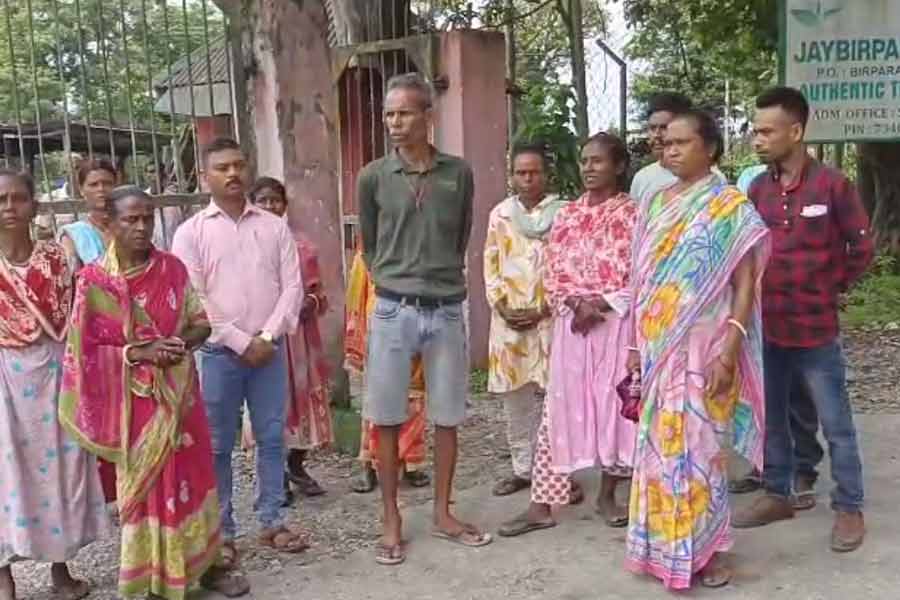 ডুয়ার্সে ফের বন্ধ চা বাগান, কাজ হারালেন ৬৩৬ জন শ্রমিক