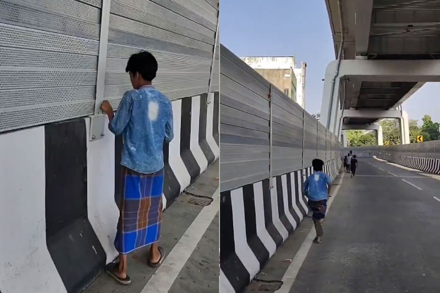 খেলার ছলে নাটবল্টু খুলে ছুট বালকের, সেতুর এ কী হাল! বিহারের ভাইরাল ভিডিওতে আতঙ্ক