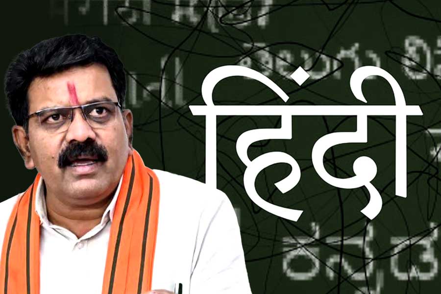 উর্দু-পার্সির বদলে পুলিশি অভিধানে হিন্দি শব্দ! ছত্তিশগড় সরকারের বড় সিদ্ধান্ত