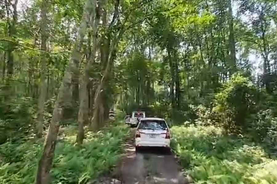 চিলাপাতার নতুন আকর্ষণ, পর্যটন ও গবেষণায় গুপ্ত যুগের নলরাজার গড় গভীর অরণ্যে