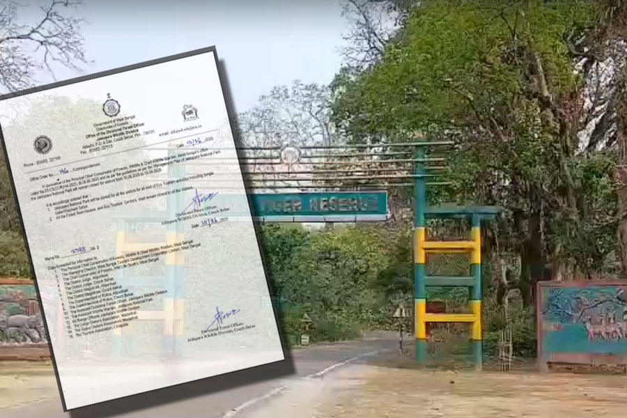 পর্যটকদের জন্য দুঃসংবাদ! তিন মাসের জন্য বন্ধ রাজ্যের সব বনাঞ্চল