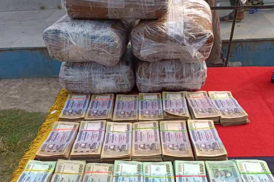 সীমান্তে পাচার রুখল বিএসএফ, নদিয়ায় উদ্ধার ২১ লক্ষ বাংলাদেশি টাকা, বিপুল পরিমাণ মাদক