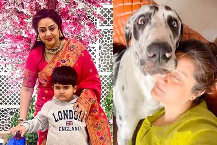 পোষ্যের সঙ্গে খেলতে গিয়ে বিপত্তি, বরাতজোরে রক্ষা পেল সুদীপাপুত্র