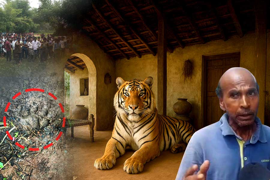 ঘরের মধ্যেই বাঘে-মানুষে যুদ্ধ, হাড়হিম ঘটনার সাক্ষী ঝাড়খণ্ডের বাসিন্দা