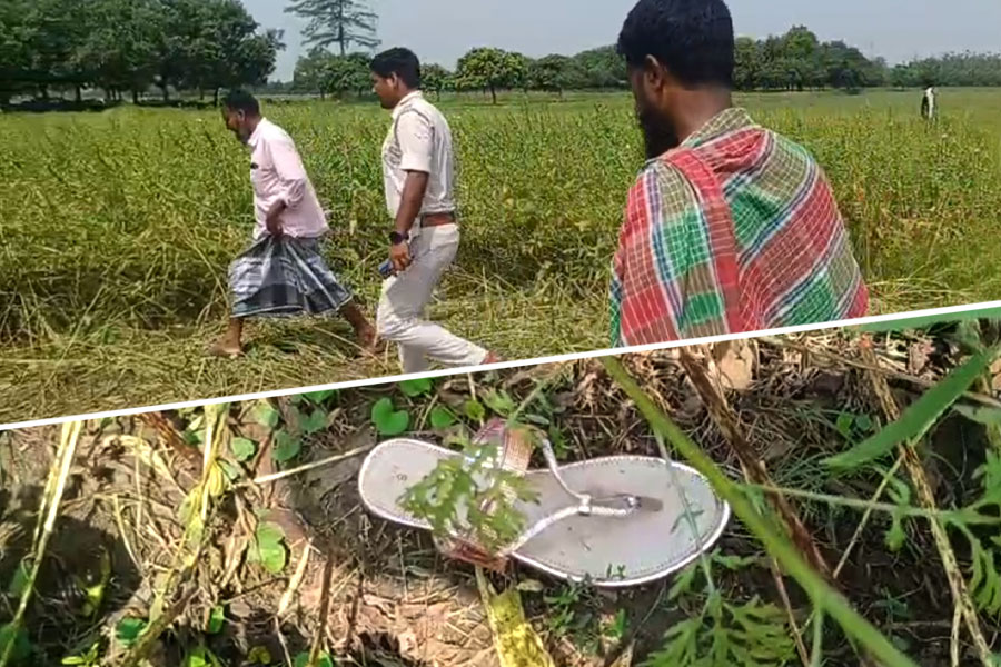একদিন নিখোঁজ থাকার পর তিল খেত থেকে উদ্ধার ছাত্রীর অর্ধনগ্ন গলাকাটা দেহ