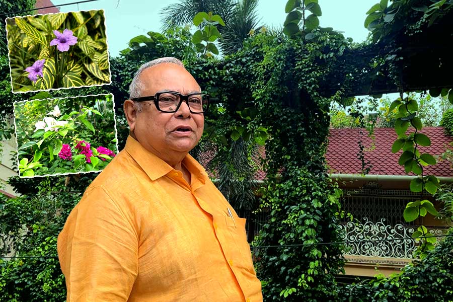 ব্যস্ত শহরের বুকে এক টুকরো মরুদ্যান, নেপথ্যে শিল্পপতি-চিন্তাবিদ সমর নাগ
